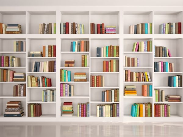 Bookshelf Assembly in Santa Rosa