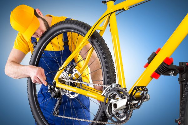 Bike Assembly in Santa Rosa